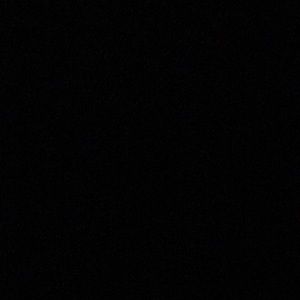 Meet your Posher, Patty